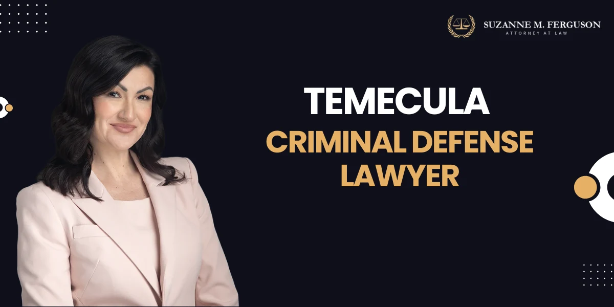 Temecula Criminal Defense Lawyer-image