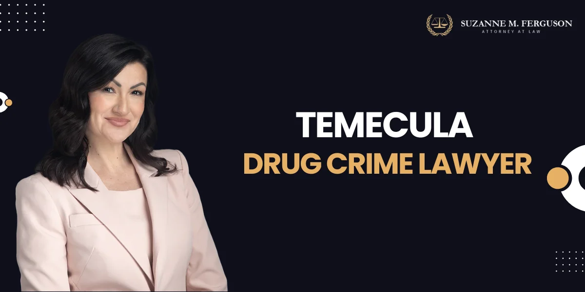 Temecula Drug Crime Lawyer-image