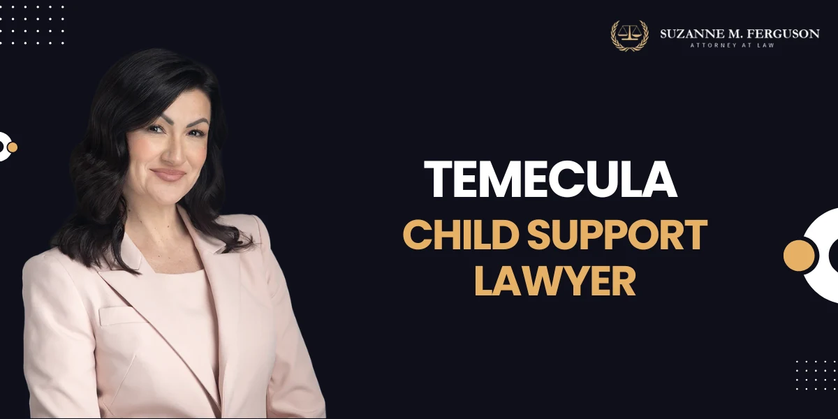 Temecula Child Support Lawyer-image